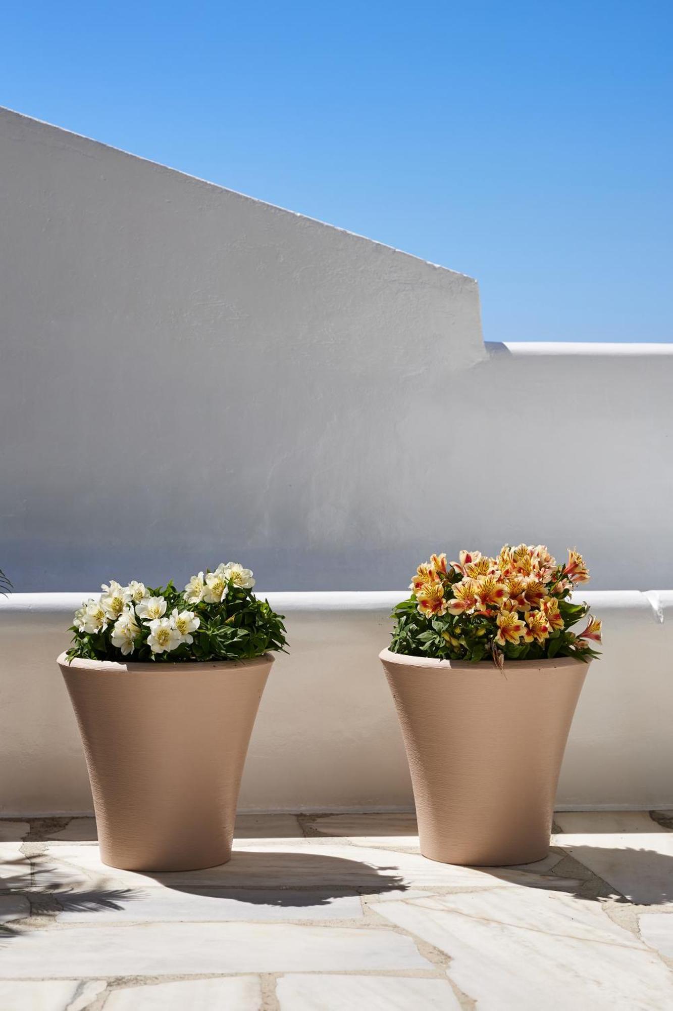 Дом отдыха Lily Mykonos Mykonos Town